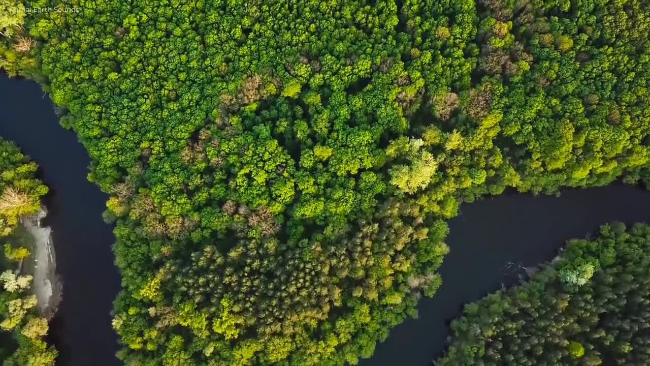 Stunning % Views % of % the % earth % 4K % with soothing music