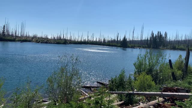 Central Oregon - Mount Jefferson Wilderness - Sparkling Blue Wasco Lake - 4K