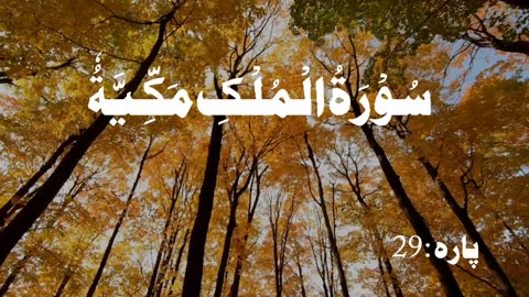 Surah Mulk