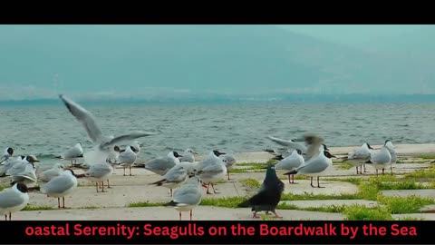 Coastal Serenity: Seagulls on the Boardwalk by the Sea