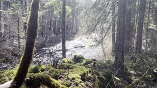 Proper Attire – McKenzie River – Tamolitch Blue Pool – Central Oregon – 4K