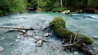 Relaxing Music | Sleeping, Meditation, Stress Relief | [6066] ⭐️