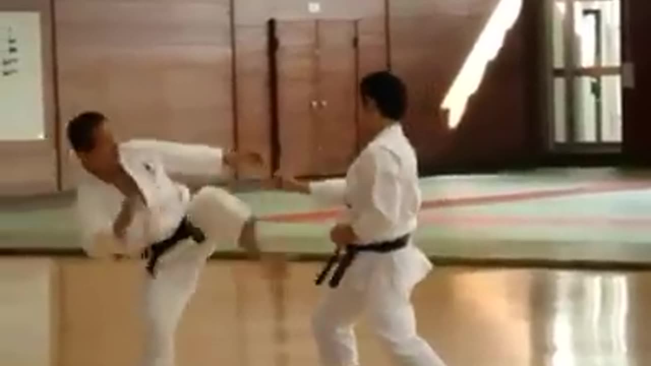 Shotokan Karate