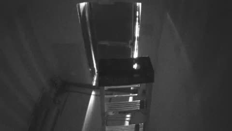 5194CHOB05C5BN1RoofExit_2021-01-06_16h40min03s737ms.mp4