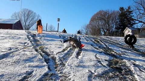 Sledding Is Fun!