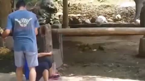 This elephant attacked the girl Crazy Moments