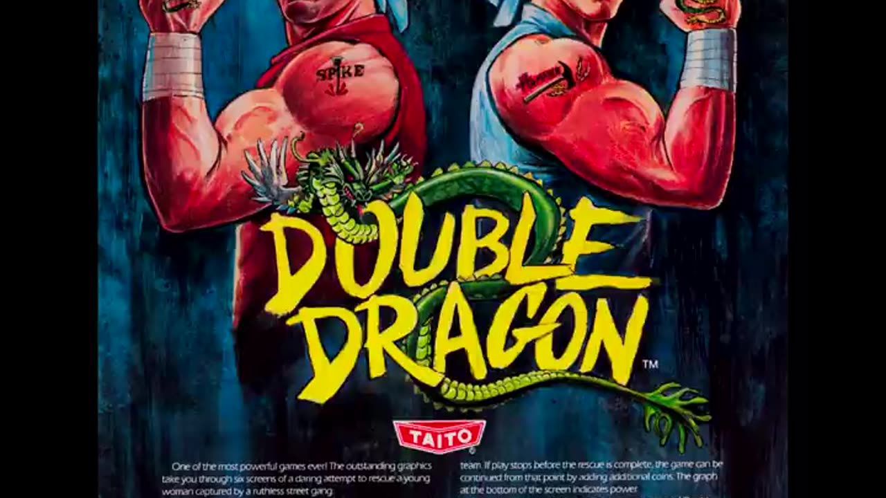 Top 1 Ranked DOUBLE DRAGON Flyer Arcades