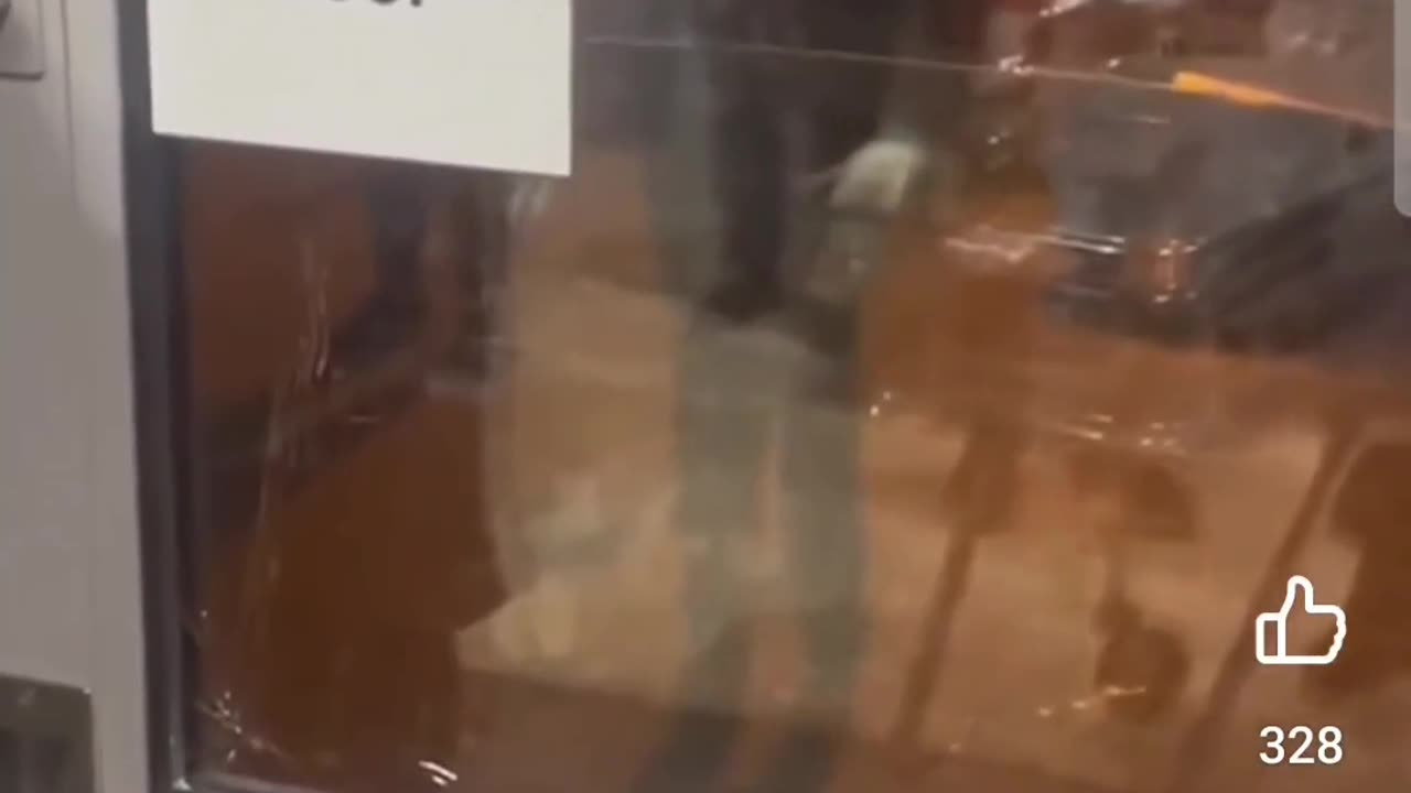 Feral kids terrorise security guard in UK and smash windows