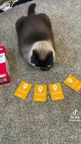 Metaphorically Speaking of course