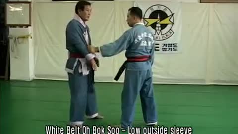 AUTHENTIC Hapkido