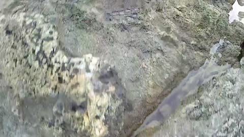 From Poland to Italy [Parkour POV]