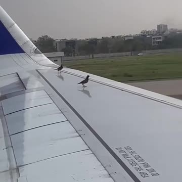 Going on a honeymoon vacation. 🤣