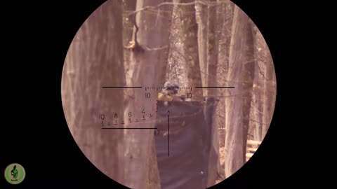 Airsoft sniper gameplay