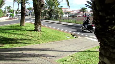 Разходка: Costa del Silencio, Tenerife