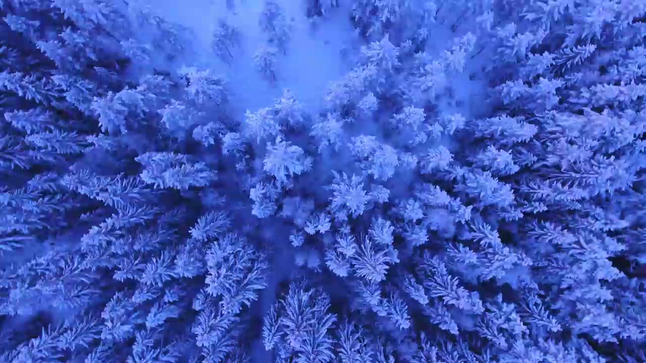 #Wonderful# blue#trees#and#his#mind-blowing environment#shorts videos #shorts #videos#