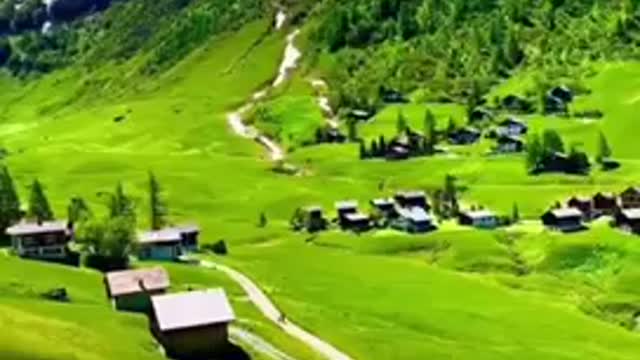 The Swiss mountains 🏔 with bird song | Natural view