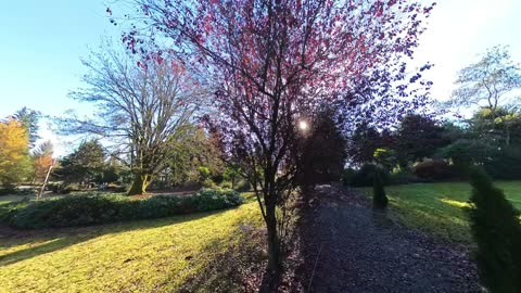 A Walk Through The Gardens of Flower World