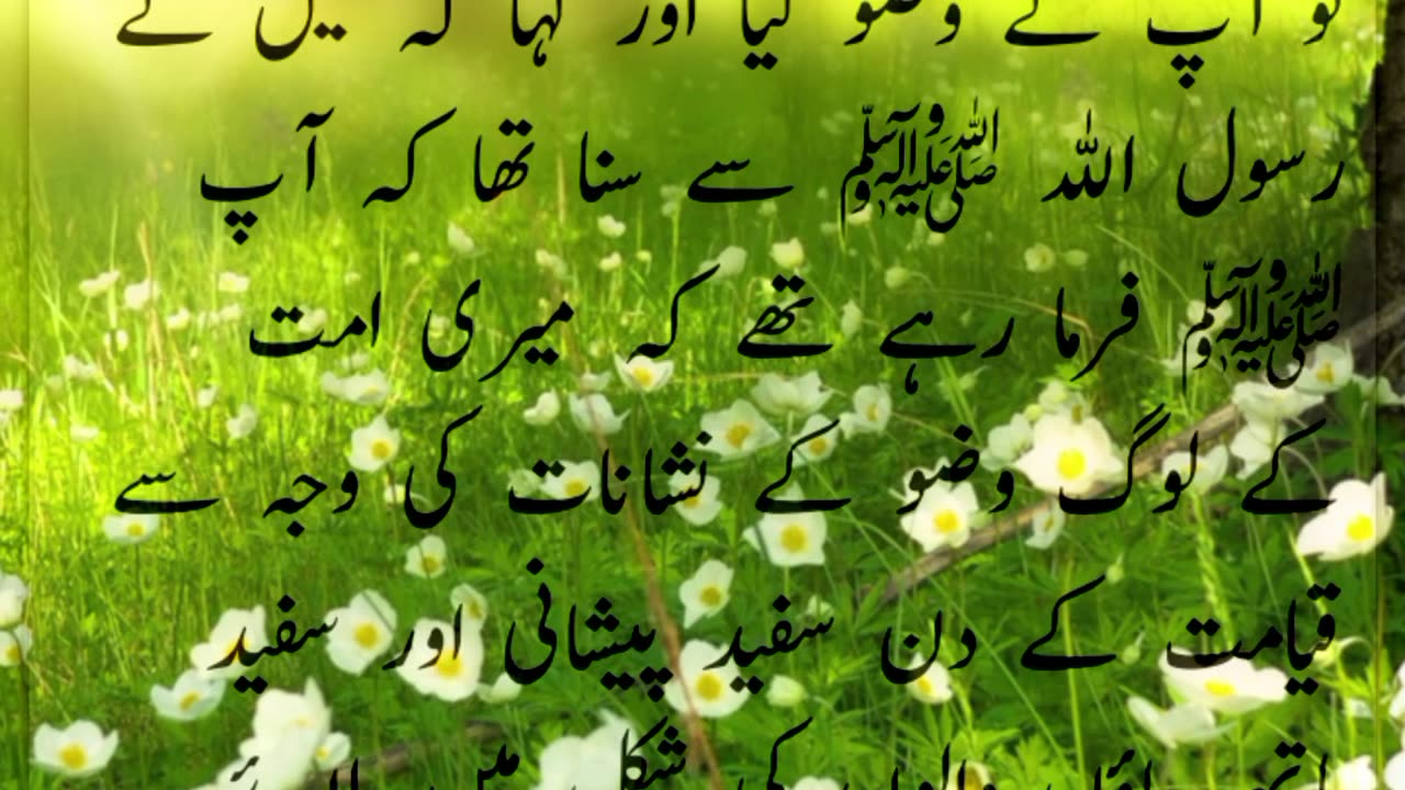 HADEES NUMBER 136