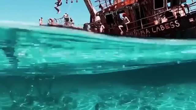 incredibly cool 😍🏊🚢