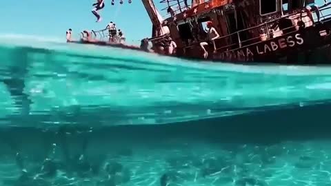 incredibly cool 😍🏊🚢