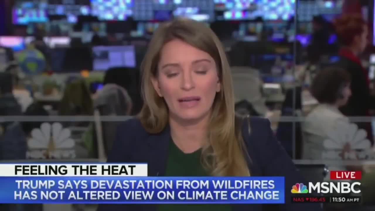 Katy Tur thinks life on Earth is pointless because of climate change