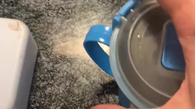 Sour dough for beginners tips and tricks and spoiler alerts