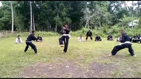 PSHT vs IKSPI