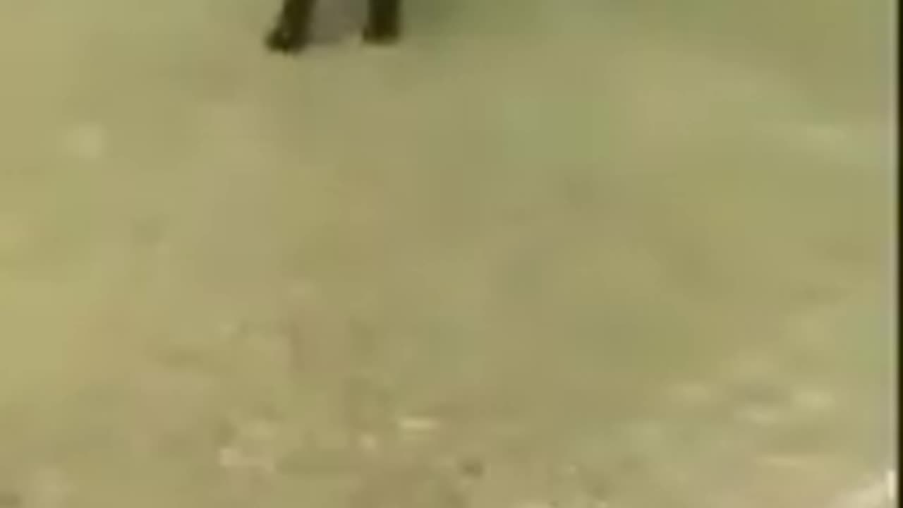 Funny video