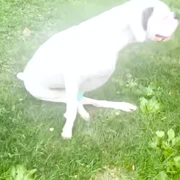 A heart-warming testimonial from Quantum Healing and Wellness Spa in Mt. Kisco, New York!