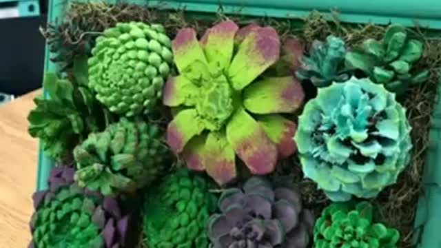 pented pincone decoration/party decoration with pincone decor ideas
