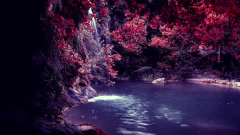 Relaxing Music | Sleeping, Meditation, Stress Relief | [6110] ⭐️