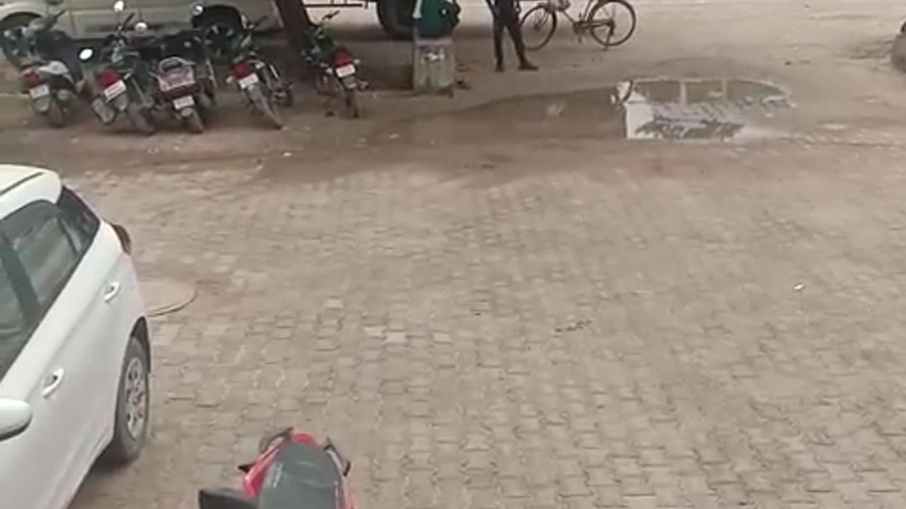 funny video | General video |