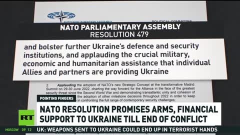 NATO Assembly Calls for Bloc to Label Russia a Terrorist State