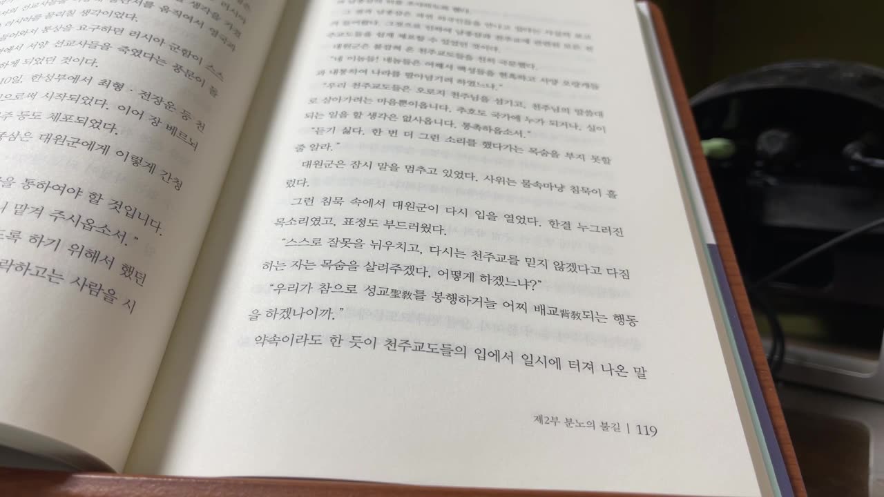 풍운의 태양인 소설 이제마, 이철호, 문진법,망진법,병자,두통,미열,기침,객혈,황초령,산운거사,스승님,대원군,고종,천주교도,병인년,운현궁,남종삼,홍봉주,아라사,불란서,국태공, 섭정