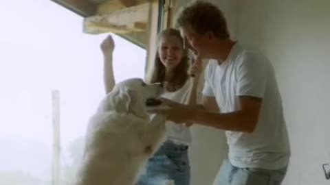 our dog dances with us☺️