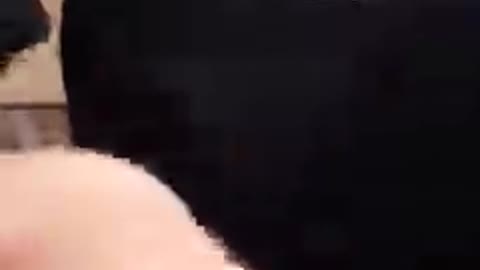 Hapkido Kicking Techniques