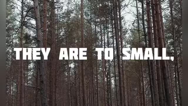 Motivational quotes