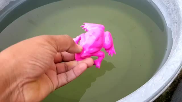 cleaning animals t-rex wolf buffhorse elephant goose shark cat crocodile camel_Cut