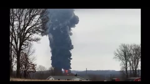 chickens dead ten miles from East Palestine.