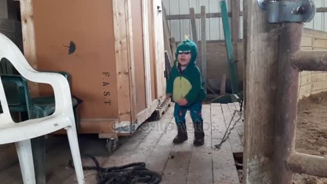 Child Dinosaur Costume Jumkping Wood Barn