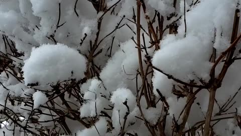 Might be last snowfall in 2023