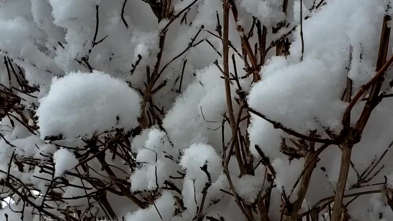 Might be last snowfall in 2023