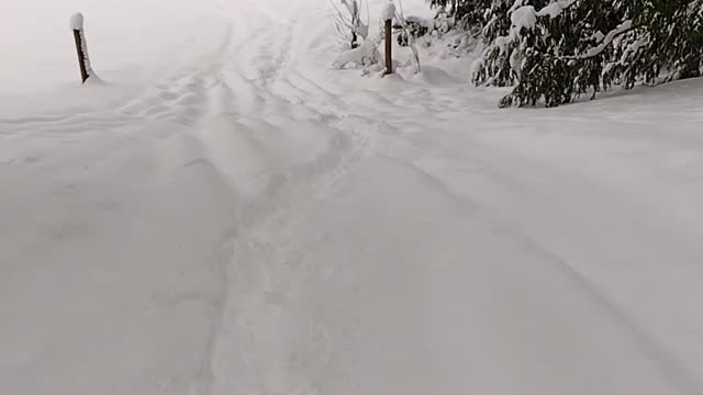 Can Am Maverick trail in the snow