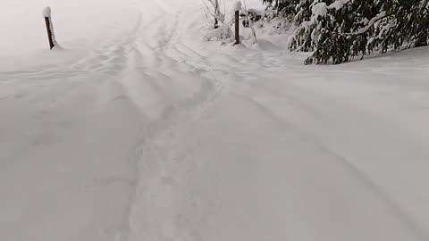 Can Am Maverick trail in the snow