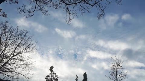 Himmel in Berlin am 13.11.2023 um 14:55 Uhr