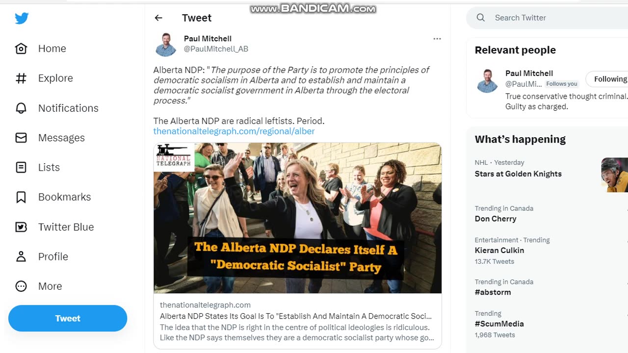 Why will the ndp not admit they are socialists?