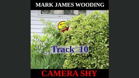 Camera Shy - Track 10