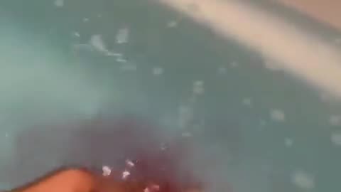 Jaws Bath Bomb in japan!!!