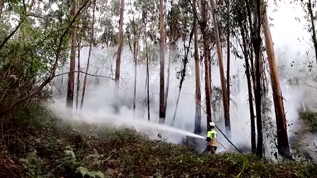 Unusual heat sparks wildfires in Northern Spain