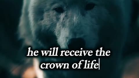 Motivationalquotes